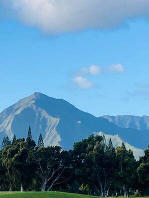 Miscellaneous - Princeville Townhouse with Views, Large Pool, Walk to Beach, Near Hanalei! (Princeville)