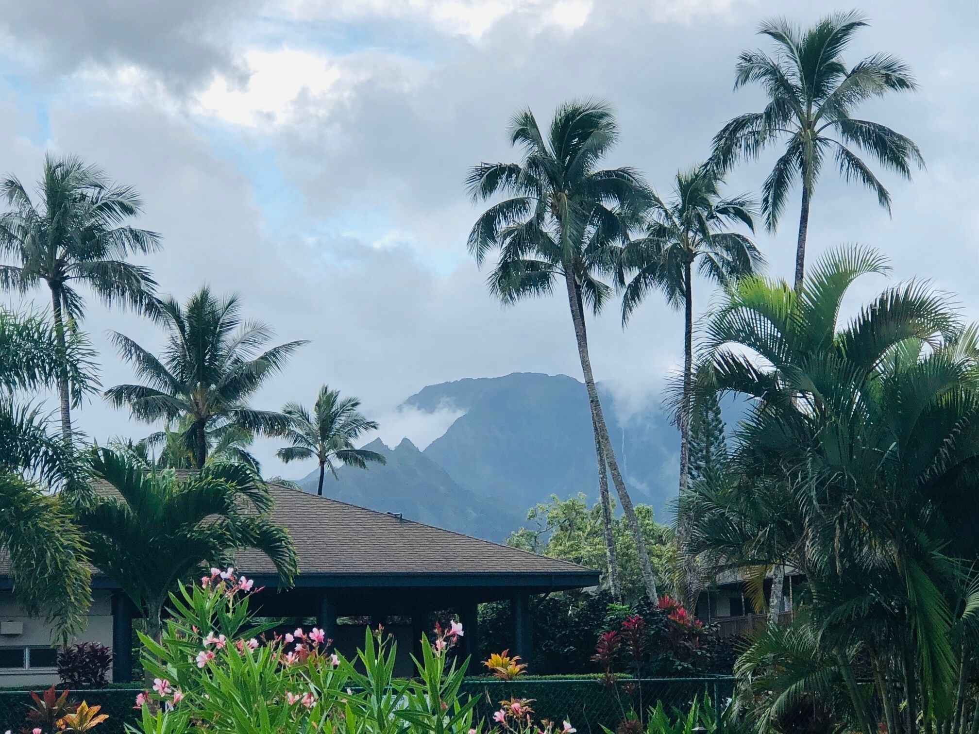 Un complexe hôtelier tropical avec des palmiers, une structure couverte et des montagnes en arrière-plan.