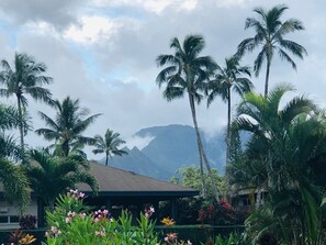 Property grounds - Princeville Townhouse with Views, Large Pool, Walk to Beach, Near Hanalei! (Princeville)