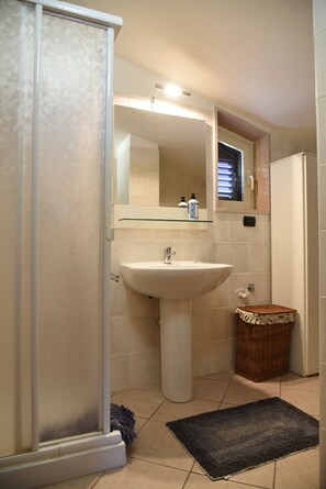 Shower, hair dryer, bidet, towels