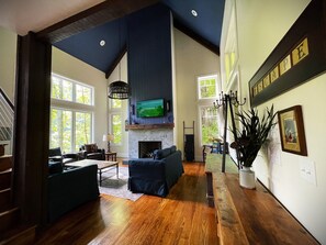 Smart TV, fireplace, books