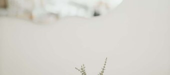 Blvd Sunset. . . Beachfront Condos