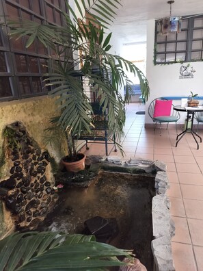 A small indoor pond with a stone wall, a potted plant, and a metal chair.