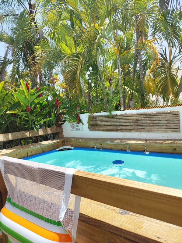 A swimming pool surrounded by tropical plants and a wooden deck.