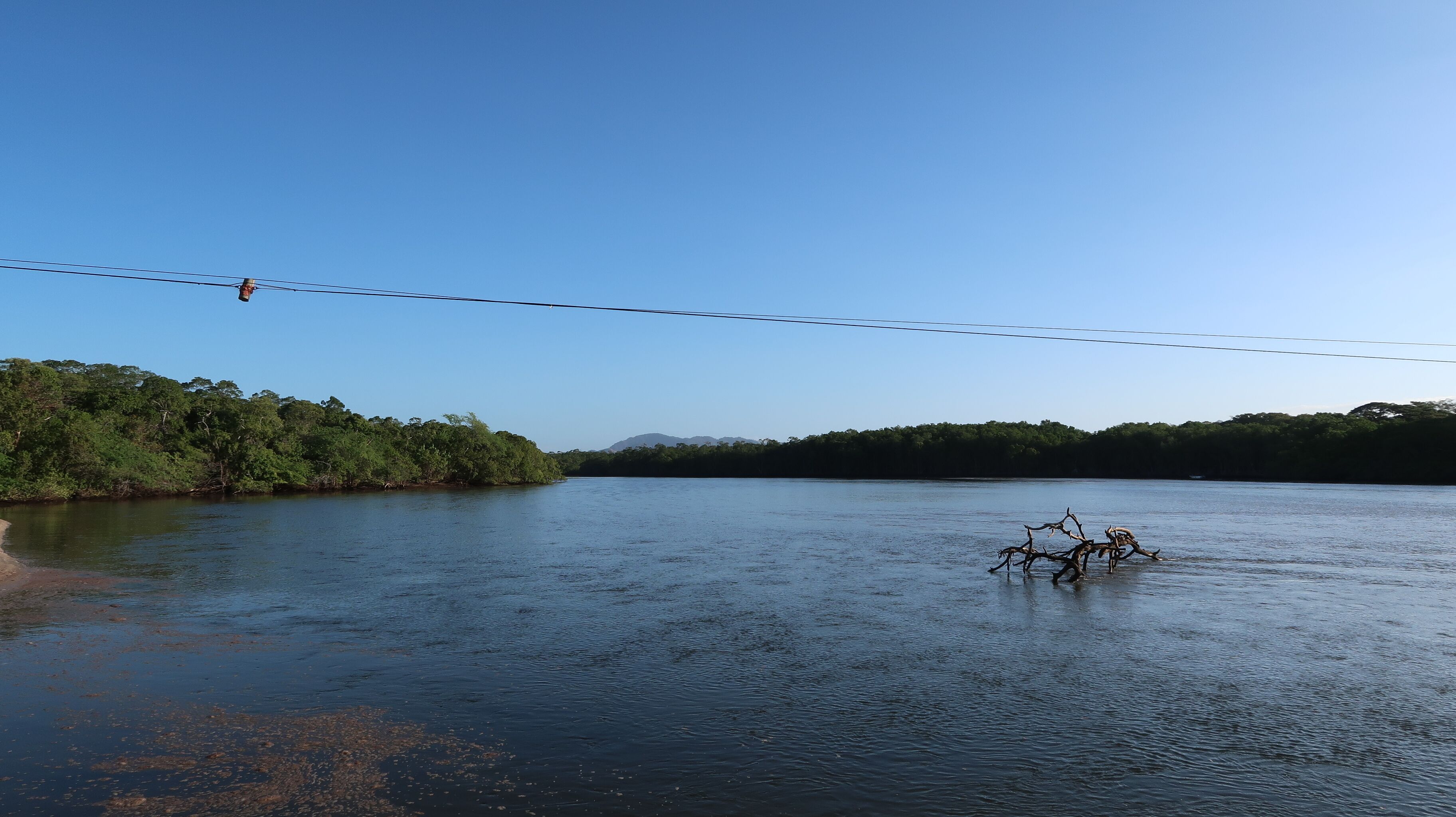A calm river with a bridge overhead and dense greenery on both sides.
