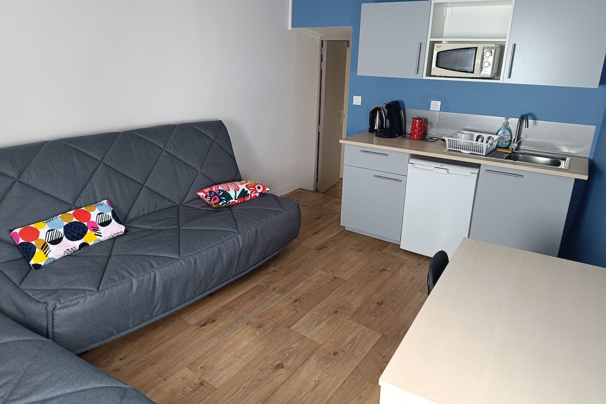 Ein kompakter Wohnraum mit grauem Sofa, einer kleinen Küchenzeile inklusive Mikrowelle und Spüle sowie Holzboden.