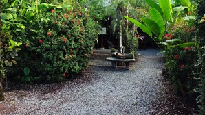 A garden pathway with a small table and a palm tree. - Cabinas Tropicales (Puerto Jiménez)