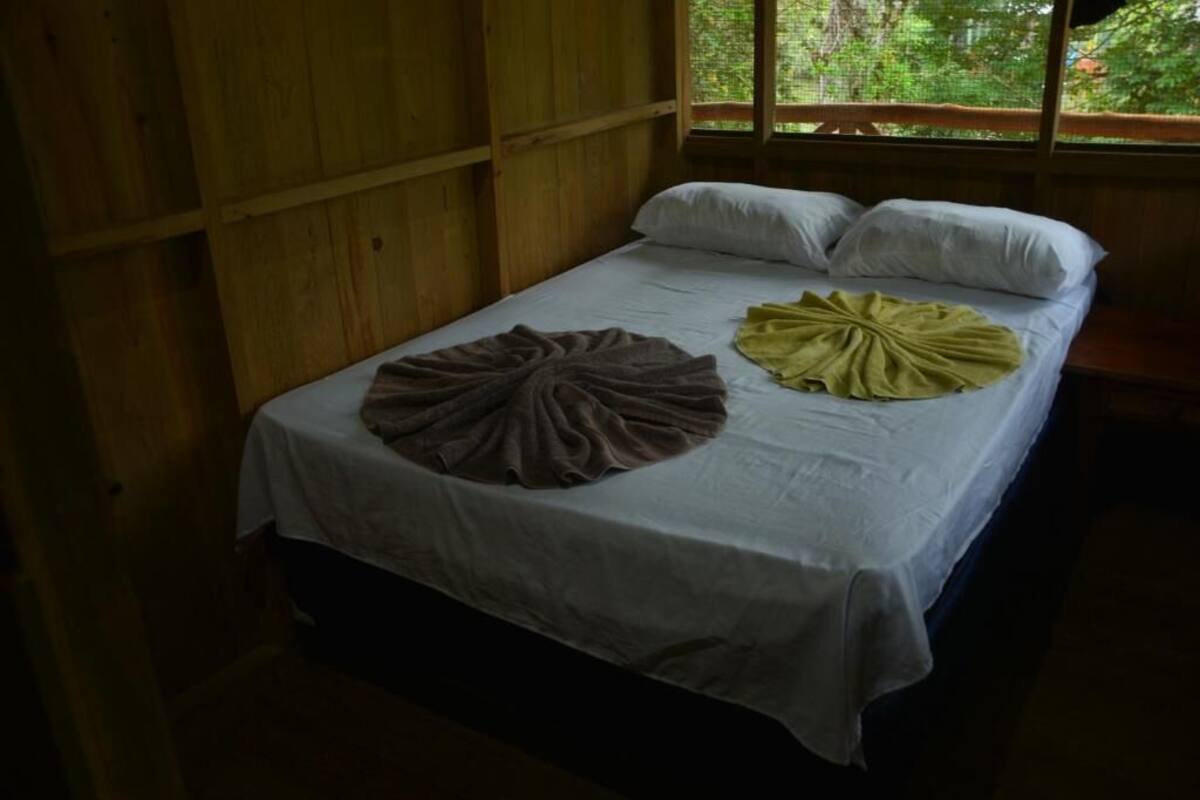 A single bed with a white sheet and two pillows, a brown and a yellow blanket, in a room with wooden walls and a window with a view of greenery.