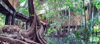Hotel Kangaroo y Restaurante