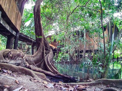 Hotel Kangaroo y Restaurante