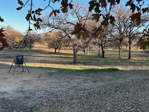A park with leafless trees and a sign on a tripod stand.