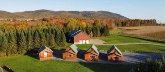 Cozy lodge room #4 
