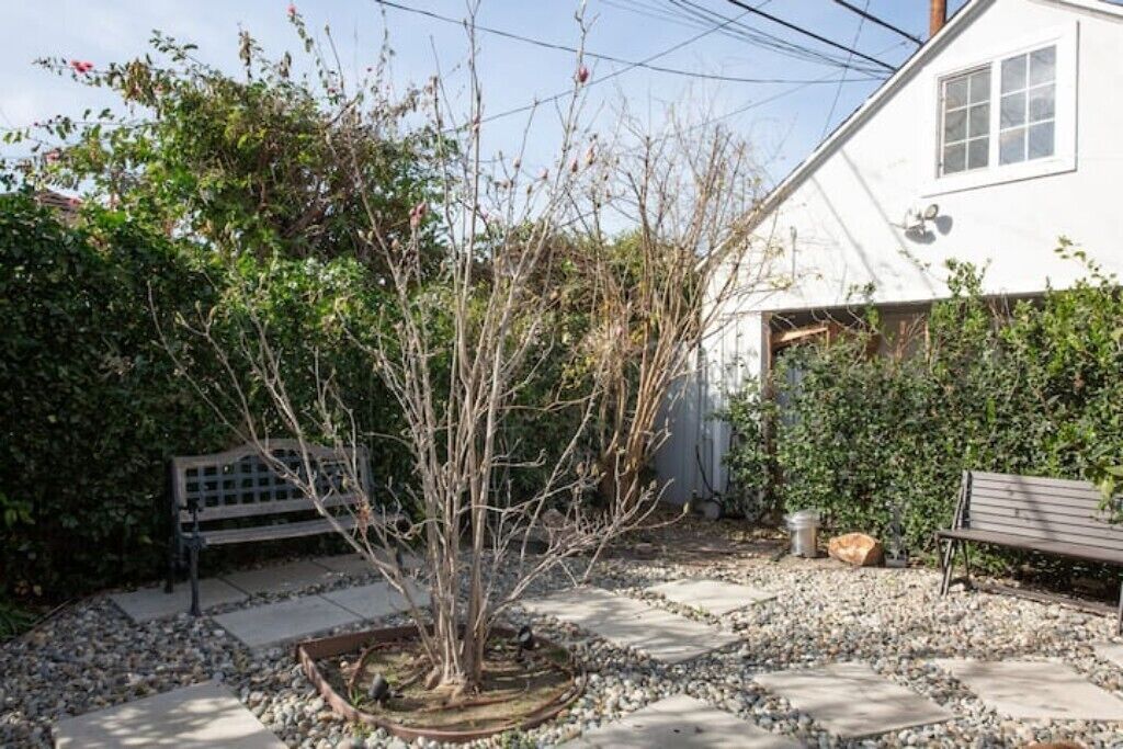A garden with a tree, a bench, and a house.