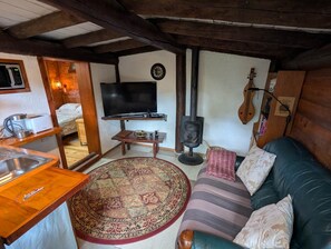 TV, fireplace, DVD player