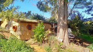 A rustic wooden structure with a thatched roof, surrounded by lush greenery and a tree. - A romantic night in a Hole in the Ground (Tauwhare)