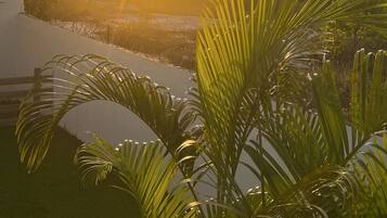 Ăreas de la propiedad