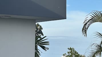 Ăreas de la propiedad