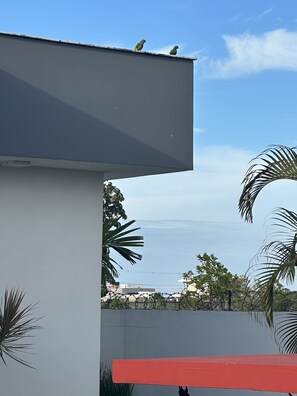 المنطقة المحيطة بالمنشأة