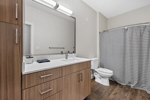 Assecador de cabells, tovalloles, sabó i xampú