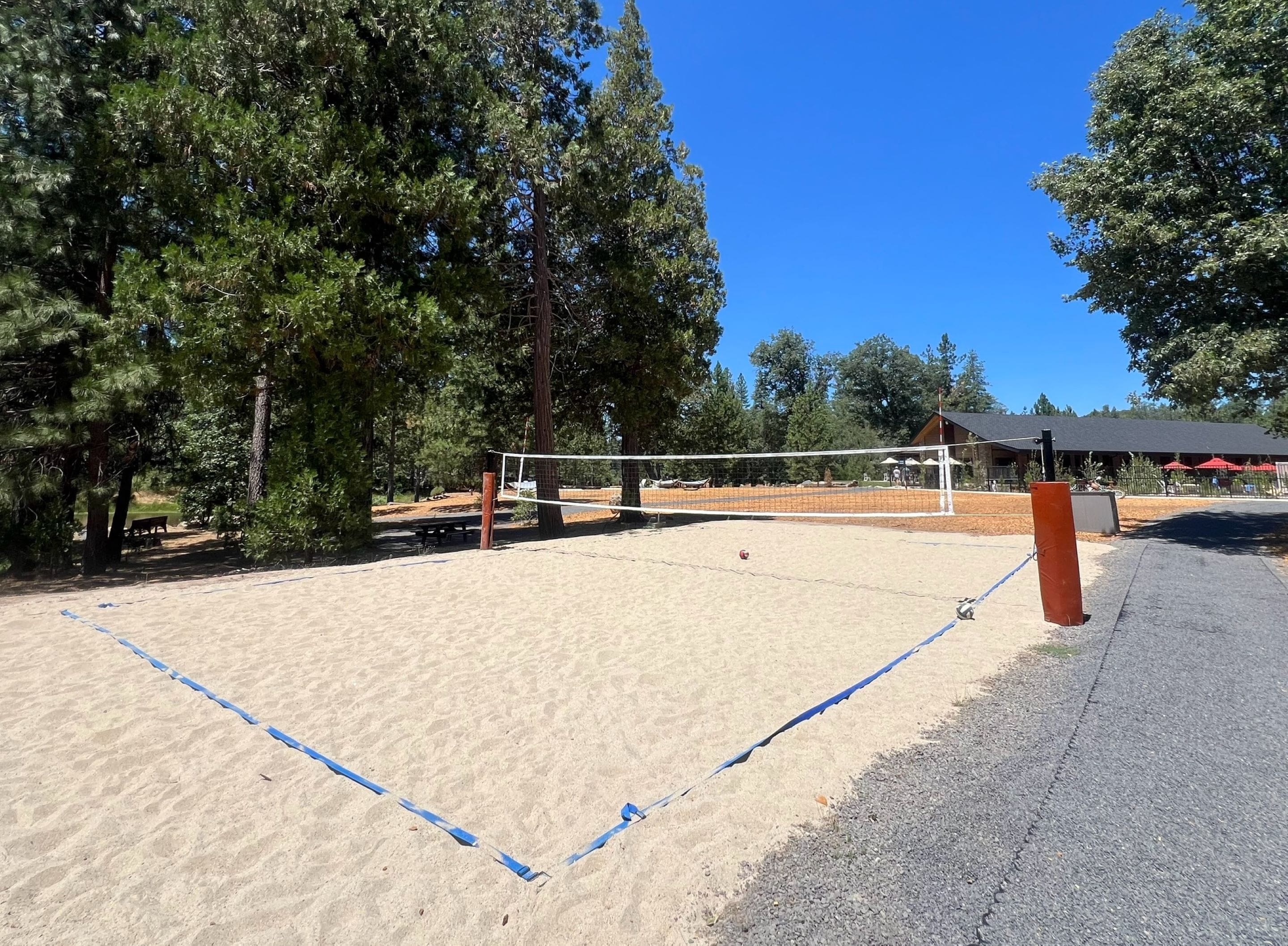 A volleyball court with a net, surrounded by trees and a building in the background.
