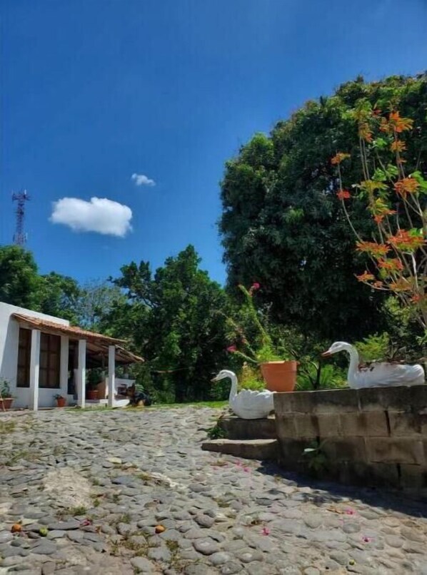 Property grounds - Jolie Maison à 20 min de L'aéroport International (Cuyultitán)