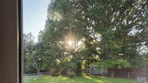 Une vue à travers une fenêtre munie d’un moustiquaire, donnant sur une cour arrière avec une pelouse, un arbre et une clôture.