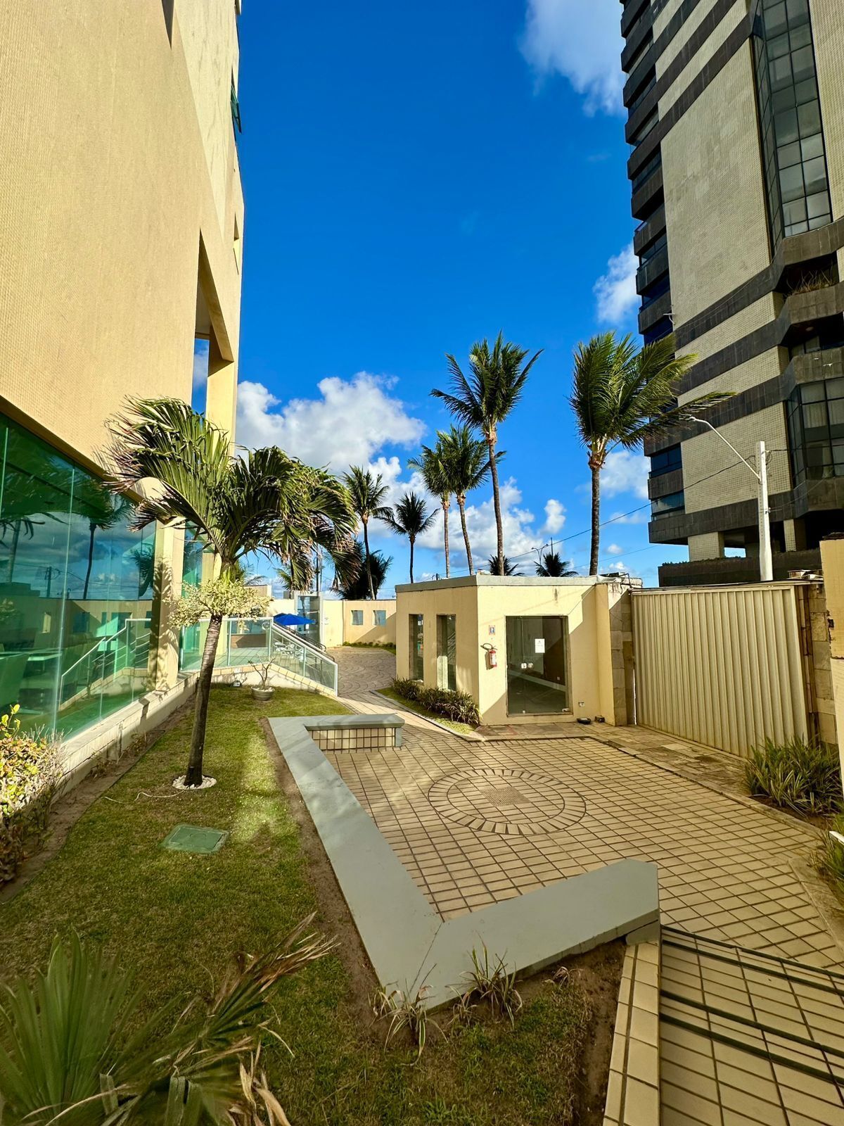 A courtyard with palm trees, a small seating area, and a building with large windows.