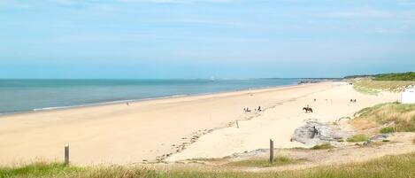 Vlak bij het strand