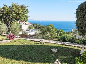 Uma área gramada com um cisne, uma estátua e vista para o mar e edifícios.