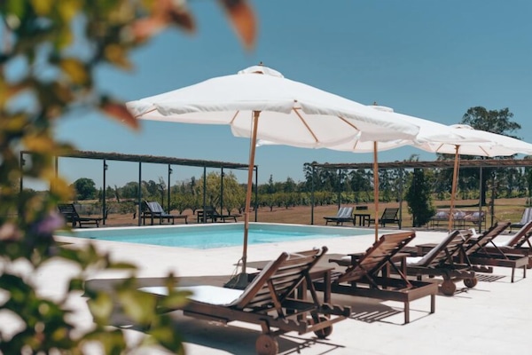 Una piscina al aire libre de temporada, sombrillas