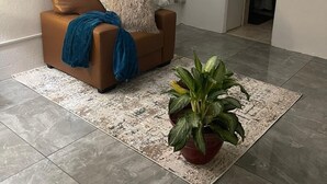 Ein Wohnzimmer mit braunem Ledersofa, einer blauen Decke und einem Blumentopf auf einem gemusterten Teppich.
