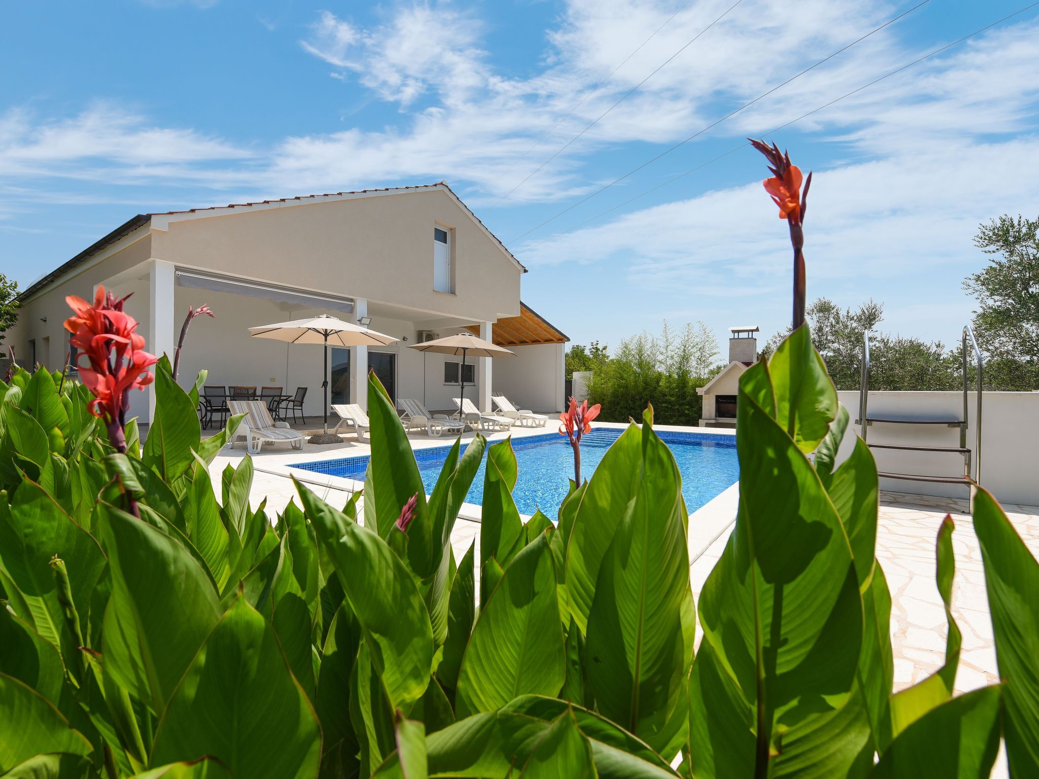 A modern house with a swimming pool, surrounded by lush greenery and a clear blue sky.