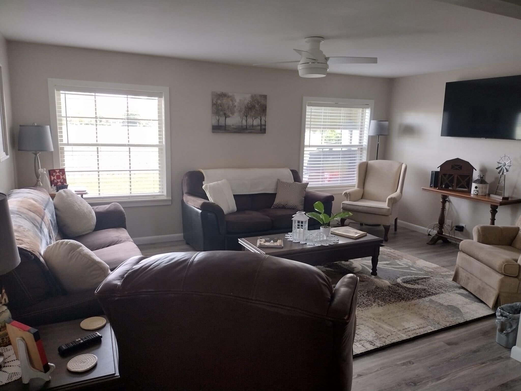 Televisor intel·ligent i llibres 