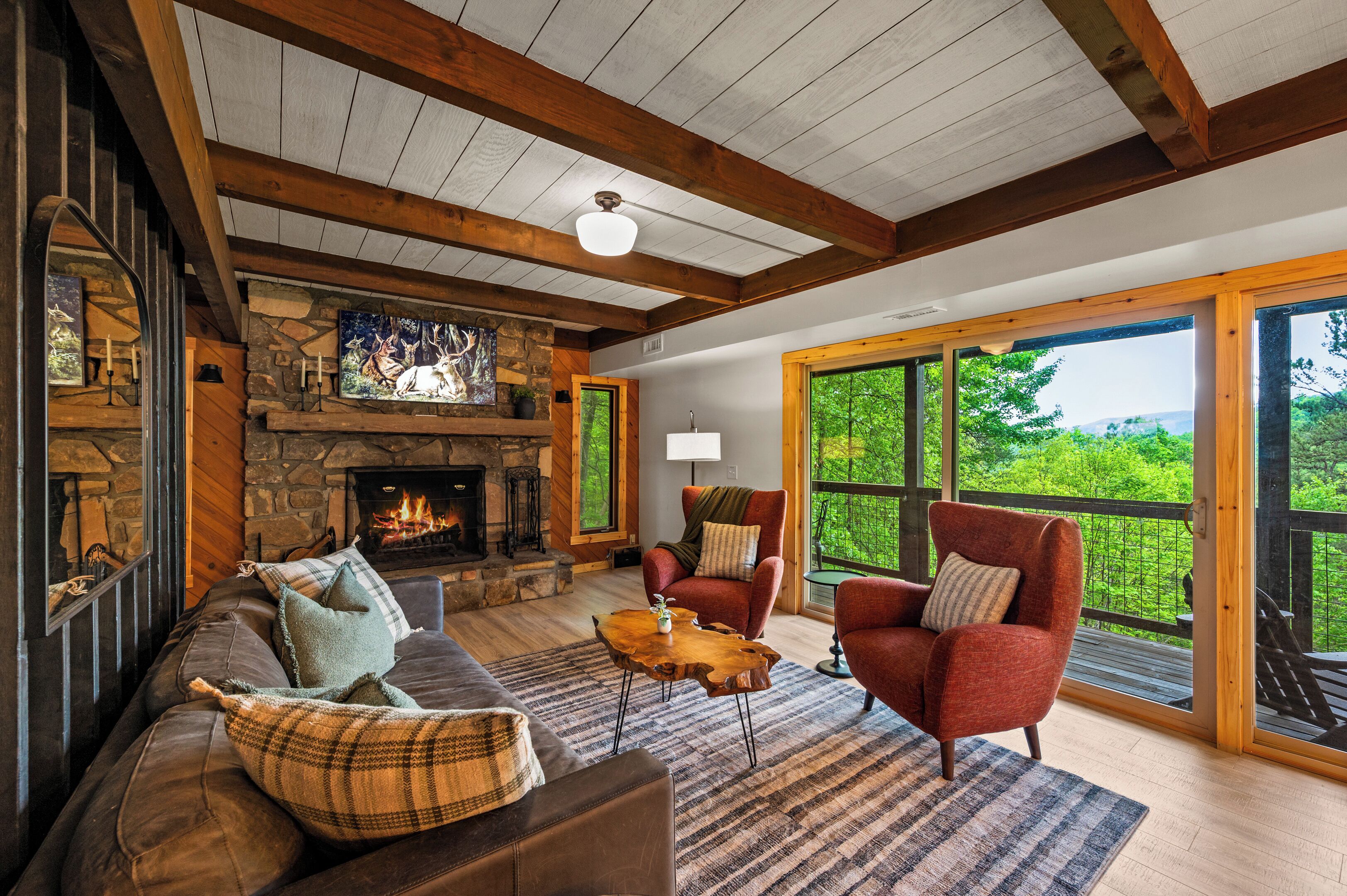 Televisor intel·ligent, llar de foc, videojocs i biblioteca musical 