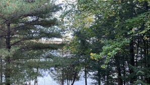 A forested area with a lake in the background, a picnic table, and a small shed. - Lake Lucerne Family Getaway, private setting close to town (Crandon)