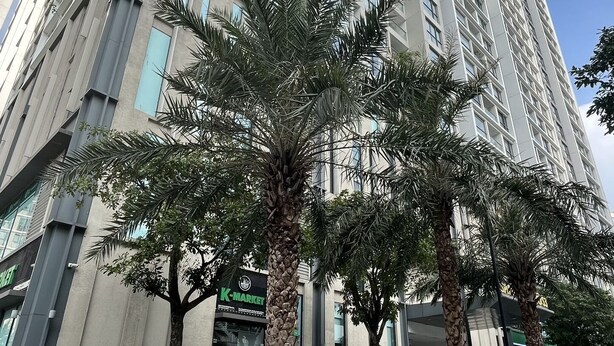 Um edifício moderno e alto com fachada curva, rodeado por vegetação bem cuidada e um céu limpo.