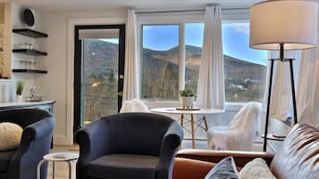 TV, fireplace, DVD player