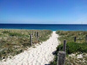 A sandy beach path leading to the ocean with wooden posts and wire fencing.