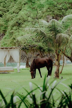 Horse riding
