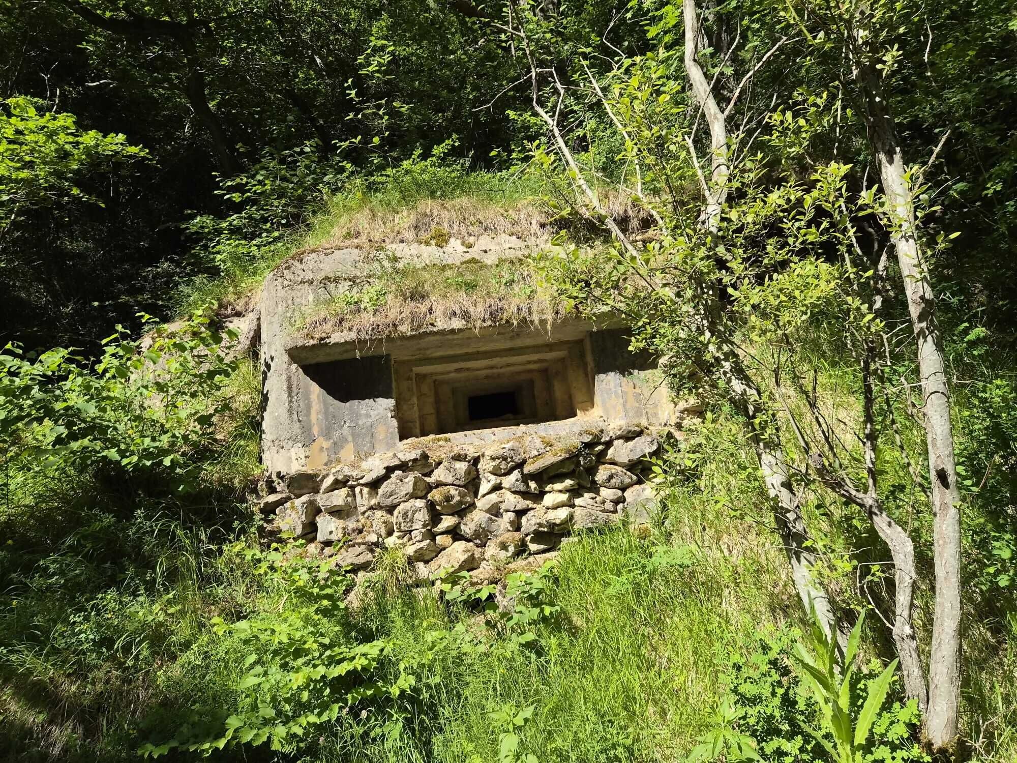 A stone structure with a window, surrounded by dense foliage.