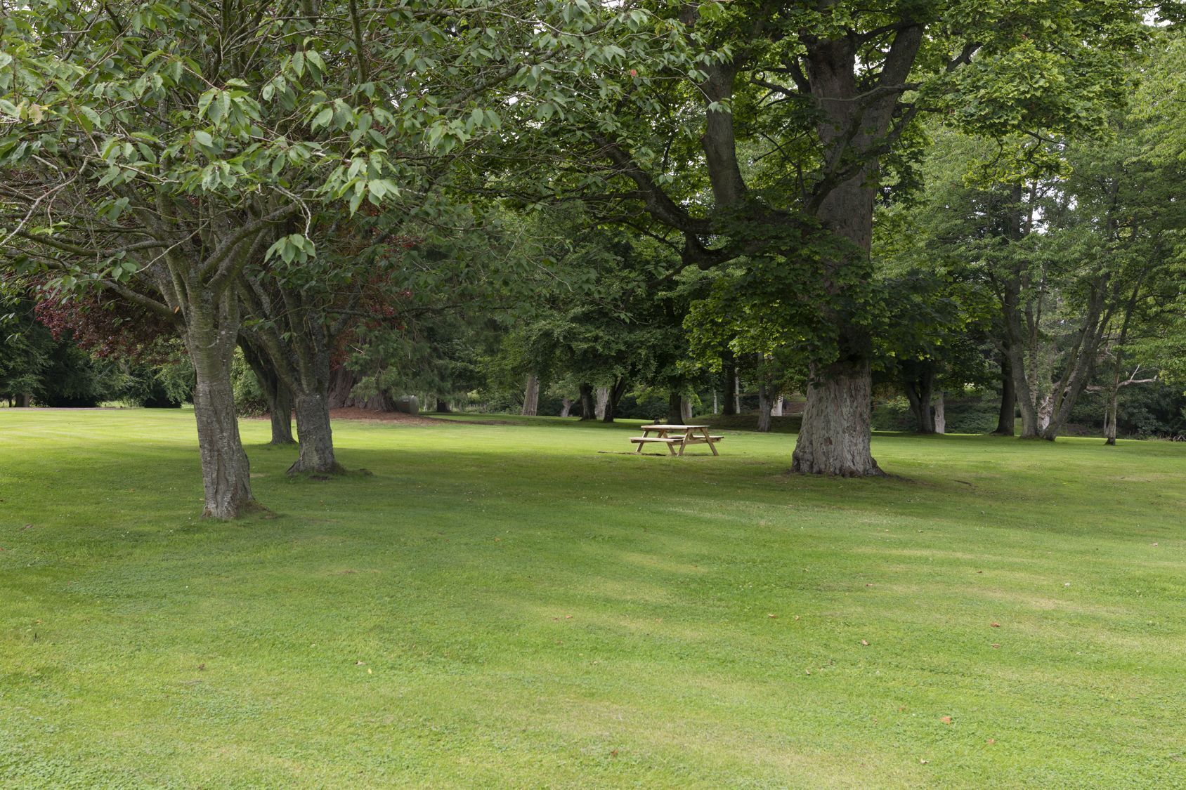 A park with a picnic table and trees.