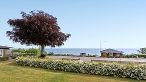 Un hôtel situé sur la côte, avec un grand arbre devant, une pelouse et une vue sur la mer.
