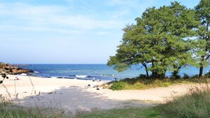 Una spiaggia con una battigia sabbiosa, alcune persone e un albero grande.