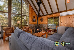TV, fireplace, DVD player