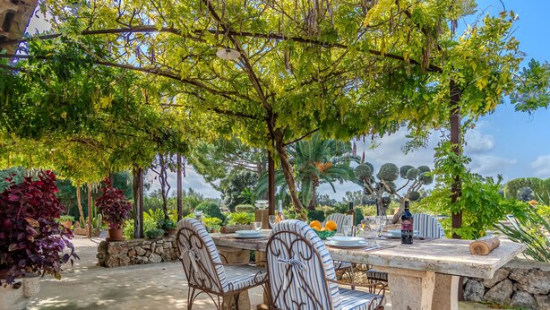 An outdoor dining area with a stone table and metal chairs, surrounded by lush greenery and trees.
