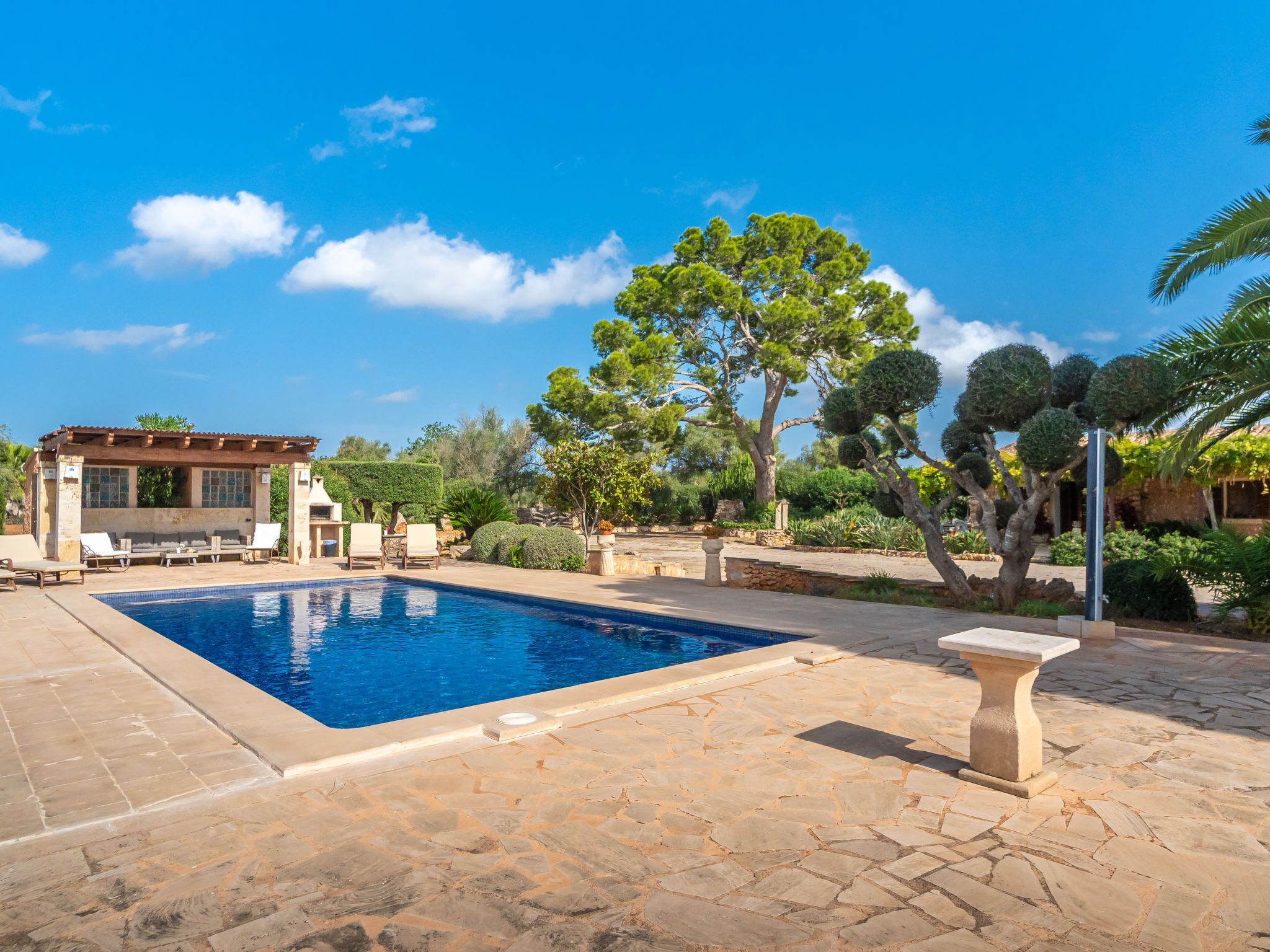 Une piscine aux bords recouverts de pierres, une pergola avec des sièges, et un jardin bien entretenu agrémenté de divers arbres et arbustes.