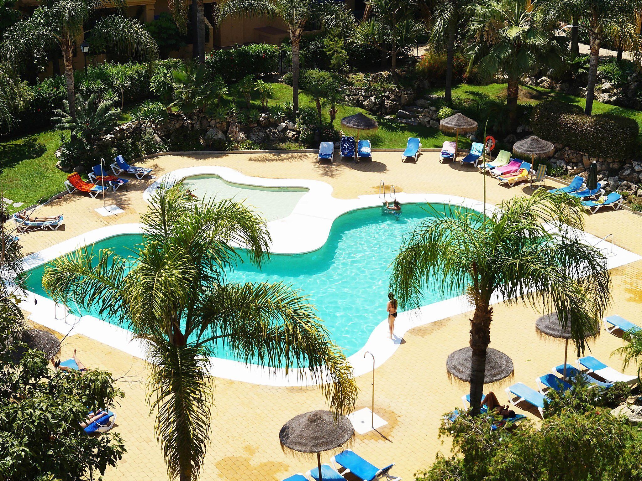 A pool surrounded by lounge chairs and palm trees.