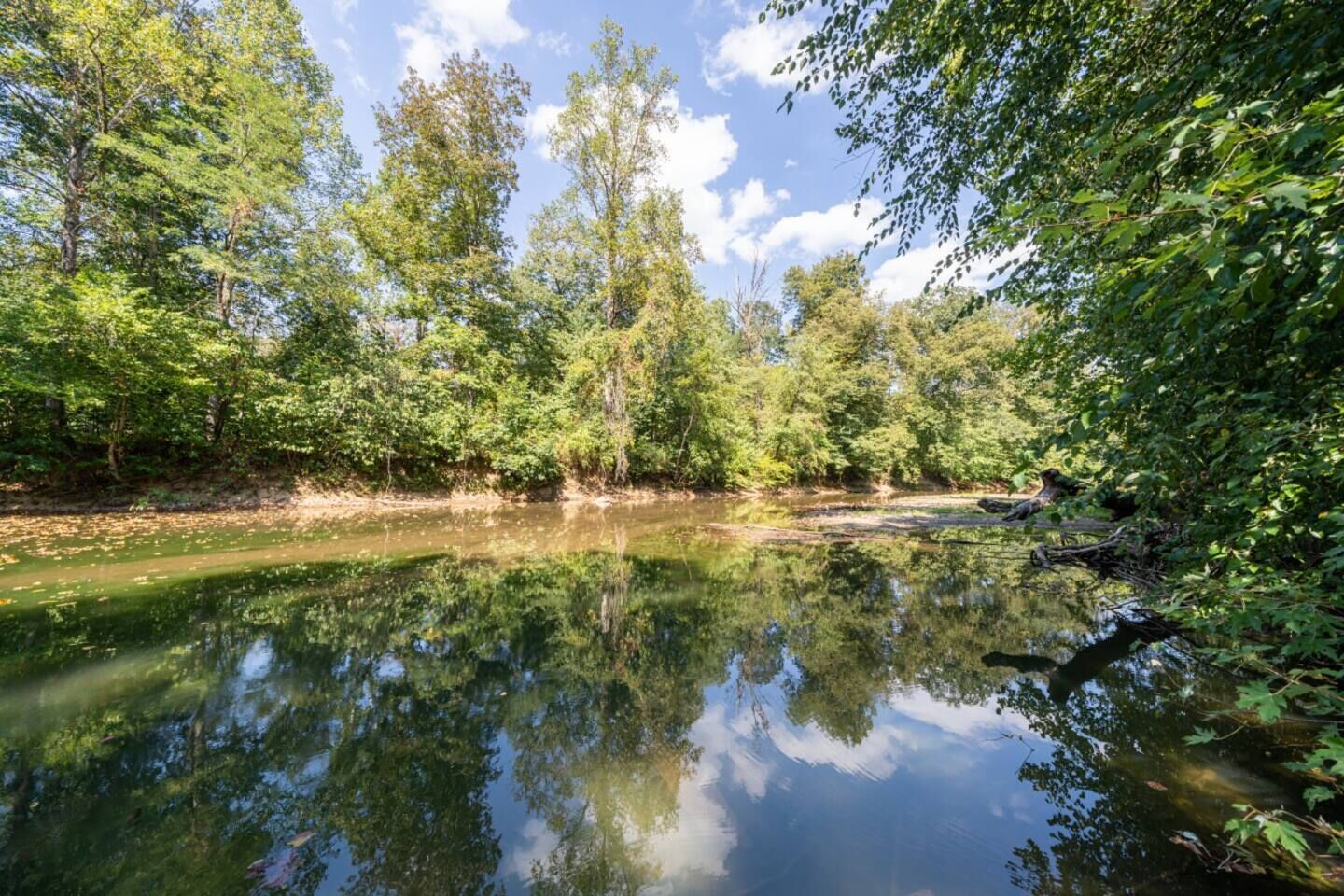 A serene river surrounded by dense foliage.