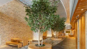 Un intérieur moderne avec un mur en pierre, des bancs en bois et un grand bac à plantes placé au centre.