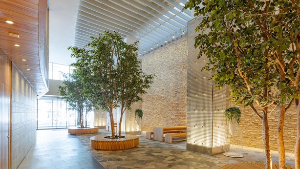 Un hall d’entrée spacieux avec un plafond haut, un sol en pierre, des bancs en bois et de grands arbres.